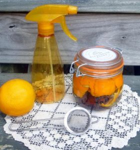 Homemade Orange Peel Vinegar Chicken Coop Cleaner Image